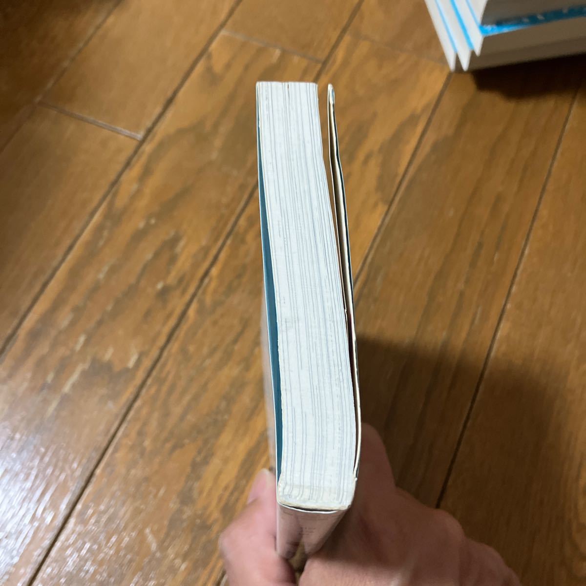 ユタとふしぎな仲間たち （講談社青い鳥文庫　２５９－１） 三浦哲郎／作　碧川みなみ／絵