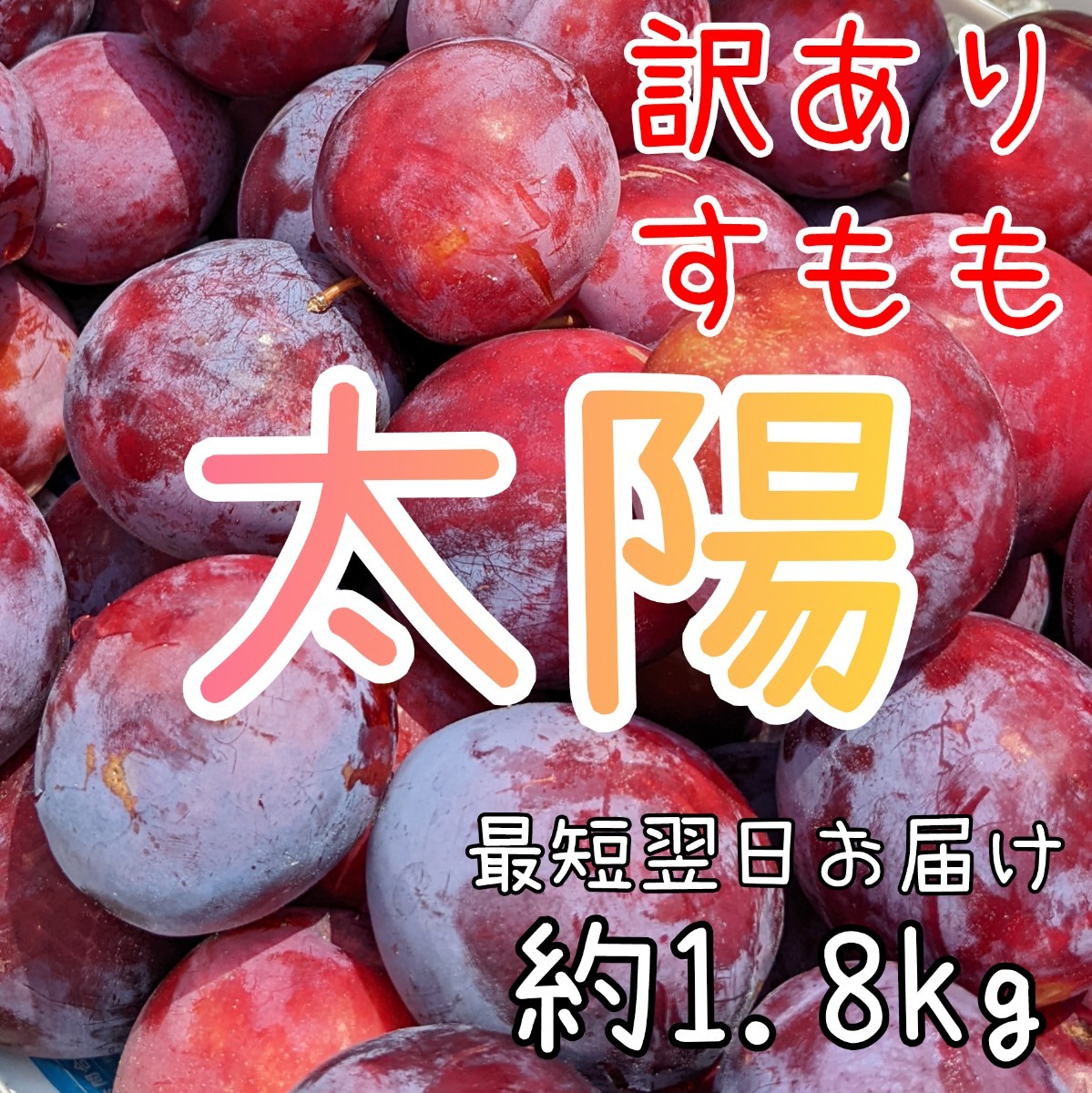 無農薬すもも 2021年度終了 | www.ddechuquisaca.gob.bo