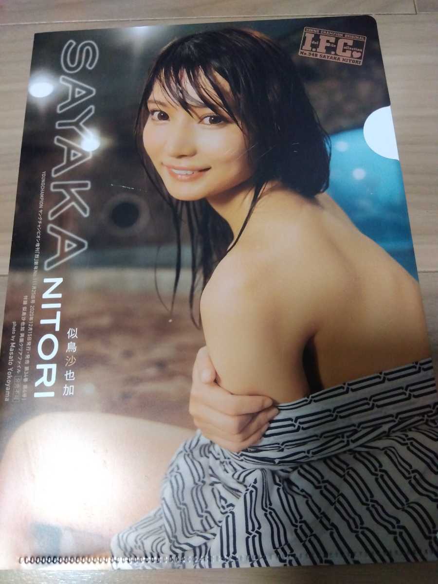 . bird ... not for sale gravure goods idol star clear file 