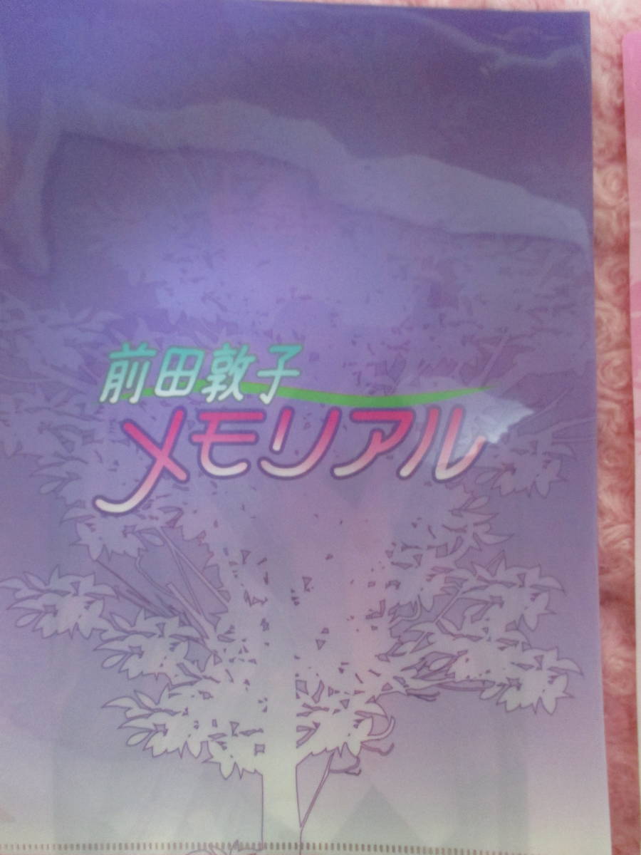 ②前田敦子さんAKB48時代のA４写真ファイル3枚メモリアル当時のメンバー集合1枚と顔アップ2枚合計3枚未使用ですが経年保管品_画像7