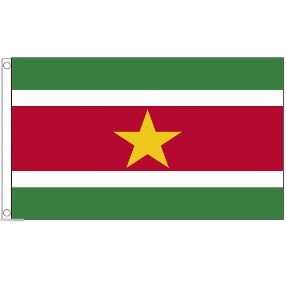 海外限定 国旗 スリナム共和国 特大フラッグ_画像1