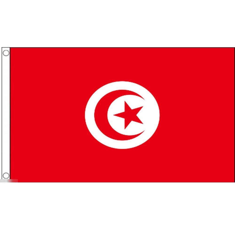 海外限定 国旗 チュニジア共和国 特大フラッグ_画像1