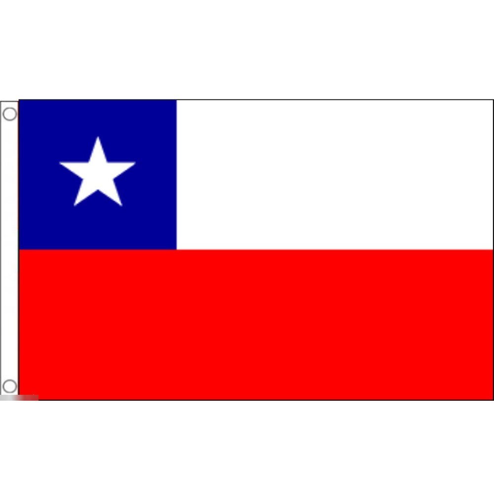 海外限定 国旗 チリ共和国 特大フラッグ_画像1