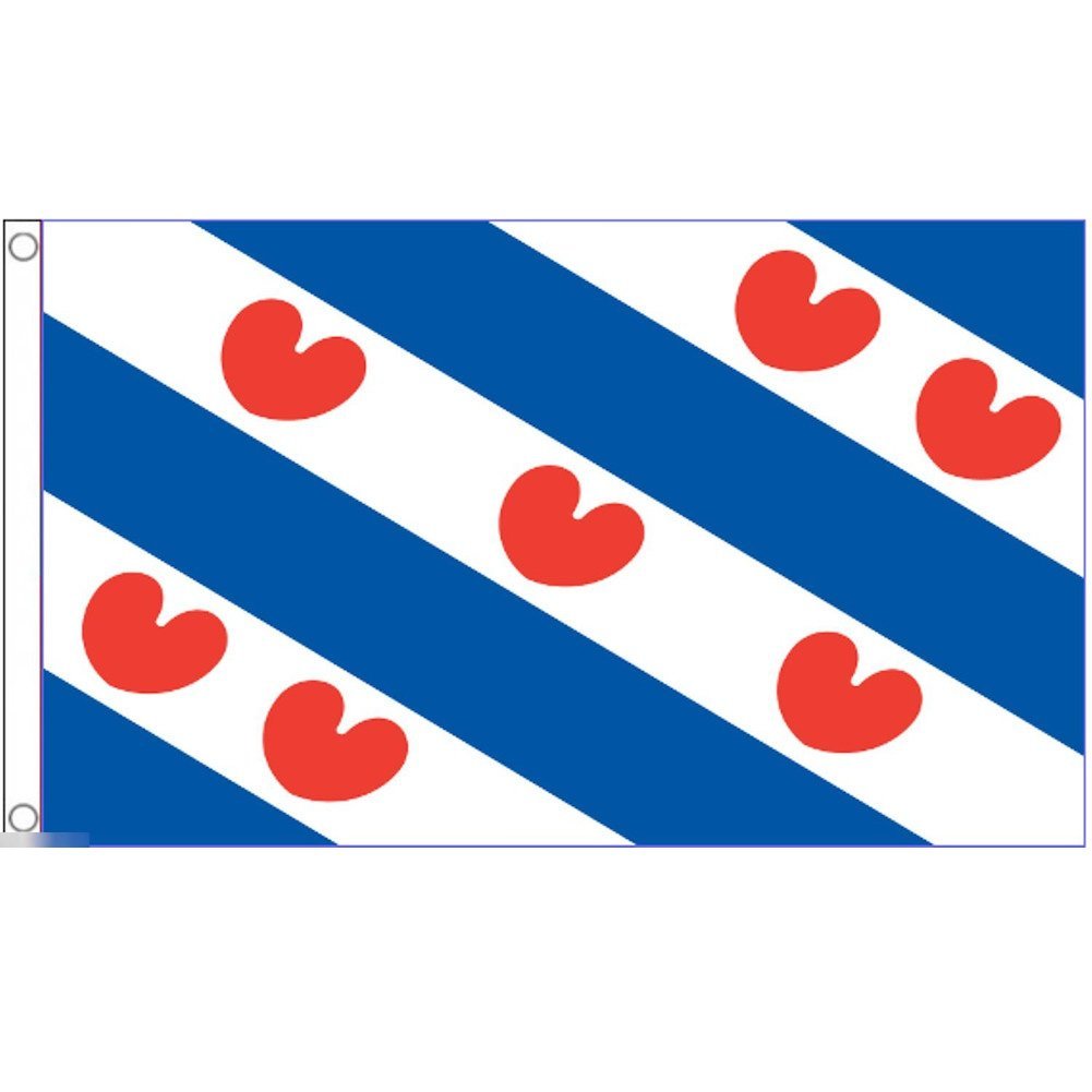 海外限定 国旗 フリースラント州 オランダ 特大フラッグ_画像1