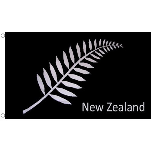 海外限定 ニュージーランド シルバーファーン 貴重 特大フラッグ_画像1