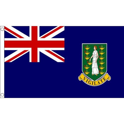 海外限定 国旗 イギリス領ヴァージン諸島 貴重 特大フラッグ_画像1