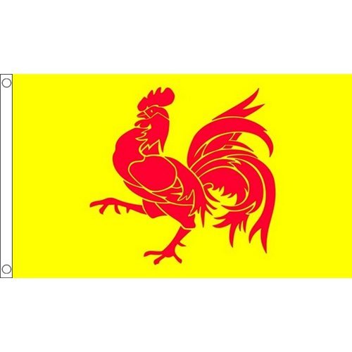 海外限定 国旗 ベルギー ワロン地域 特大フラッグ_画像1