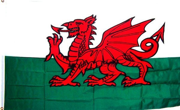 海外限定 国旗 ウェールズ 国獣 赤い竜 特大フラッグ_画像1