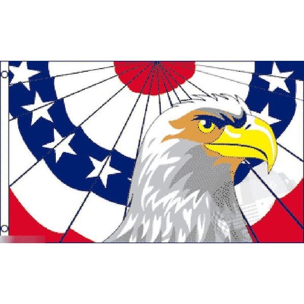 海外限定 国旗 アメリカ USA 星条旗 イーグル ワシ 鷲 特大フラッグ_画像1