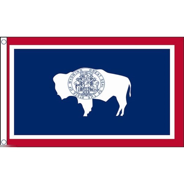 海外限定 国旗 アメリカ ワイオミング州 州旗 特大フラッグ_画像1