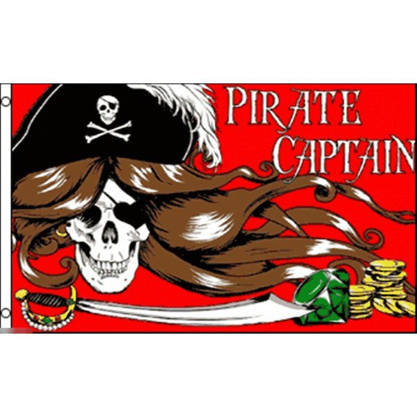 海外限定 国旗 海賊旗 パイレーツ スカル 骸骨 クイーン 姫 サーベル 特大フラッグ_画像1