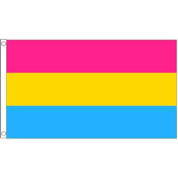 海外限定 国旗 パンセクシャル 全性愛者 特大フラッグ_画像1