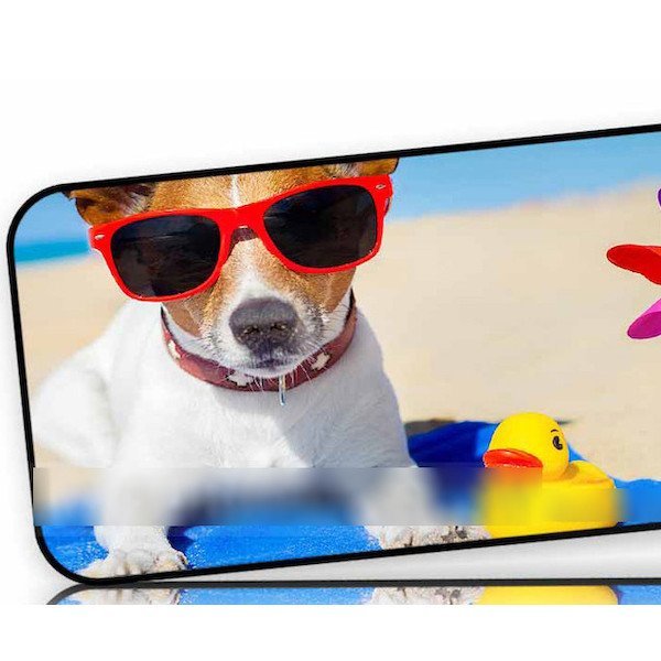 iPhone 7 Plus 犬 ドッグ サングラス ひよこ ビーチ アートケース 保護フィルム付_画像2