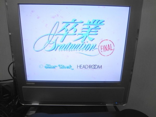 AN21-252 Panasonic Panasonic 3DO. industry Graduation FINAL demo version FZ-JJ9DSS-4K car - lock retro game soft not for sale use impression equipped 