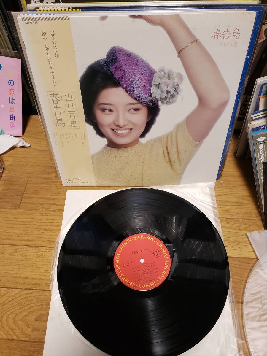  Yamaguchi Momoe LP sample record spring . bird record beautiful bulk buying . profit 
