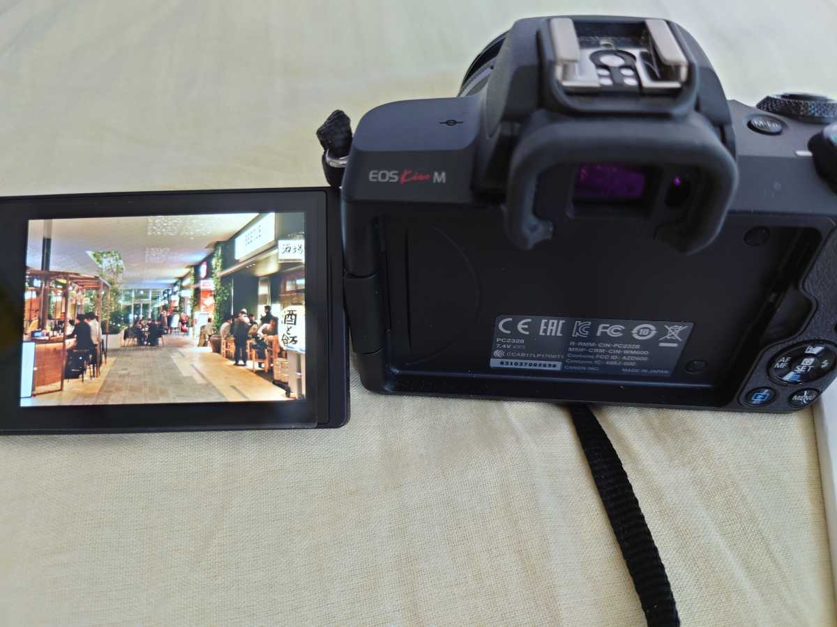 Canon EOS kiss M 交換レンズ、予備バッテリー | www.aafsil.org