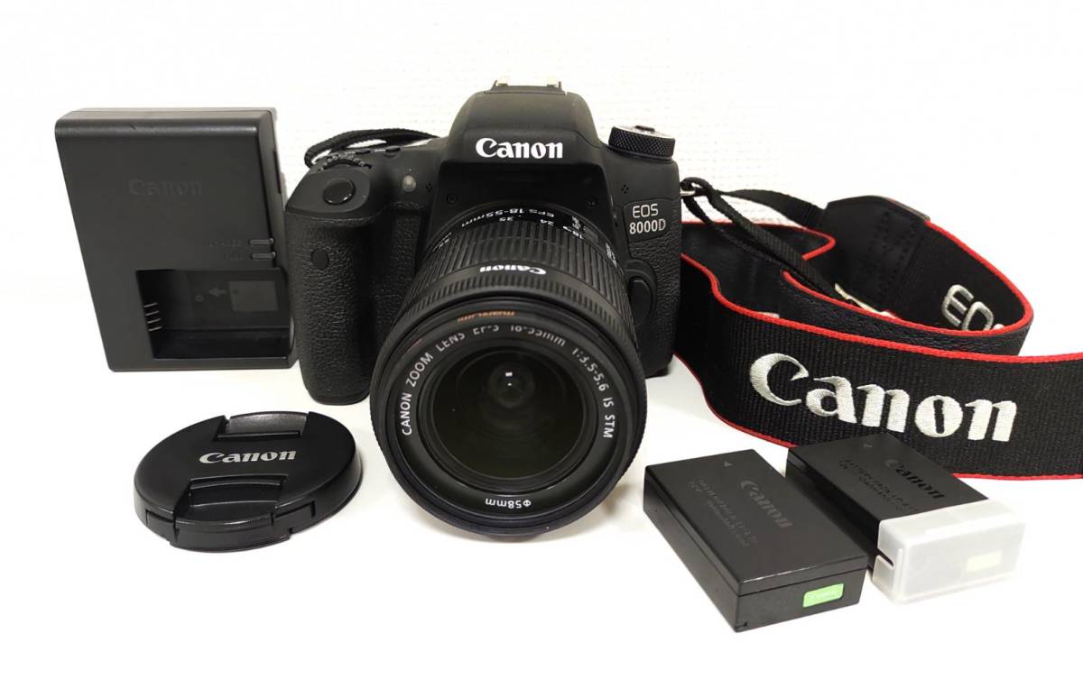 F-8058 Canon キャノン デジタル一眼レフカメラ EOS 8000D ダブル