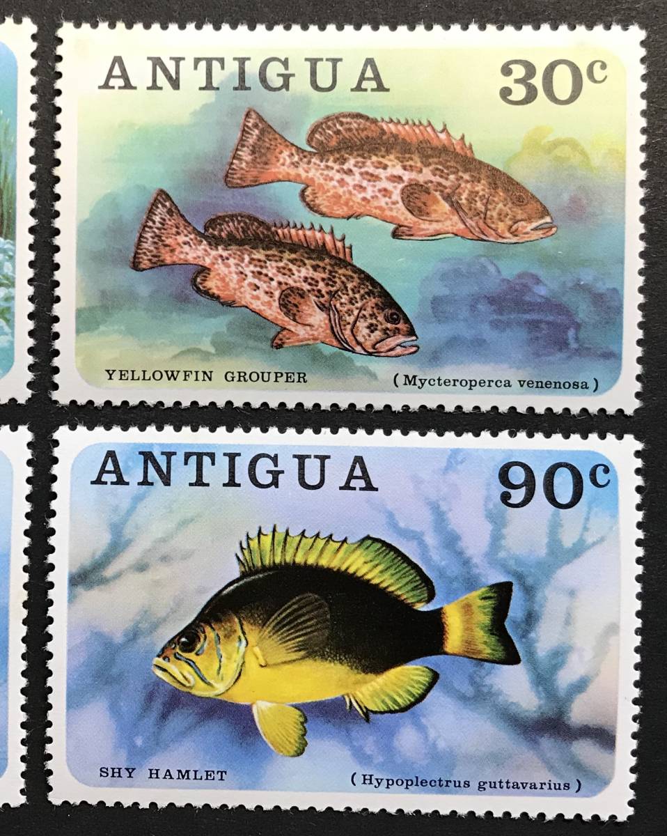ラッピング無料 アンチグア 1976年発行 魚 切手 未使用 Nh シミあります Lacistitis Es ラッピング無料 アンチグア 1976年発行 魚 切手 未使用 Nh シミあります Lacistitis Es