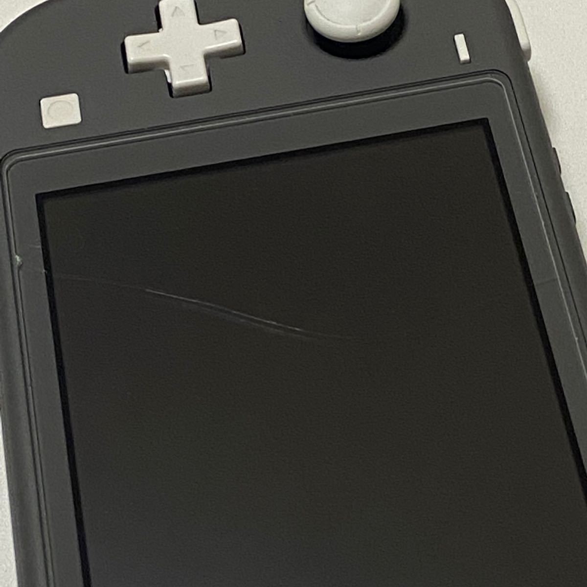 Nintendo Switch Liteグレーあつまれどうぶつの森セット|Yahoo!フリマ