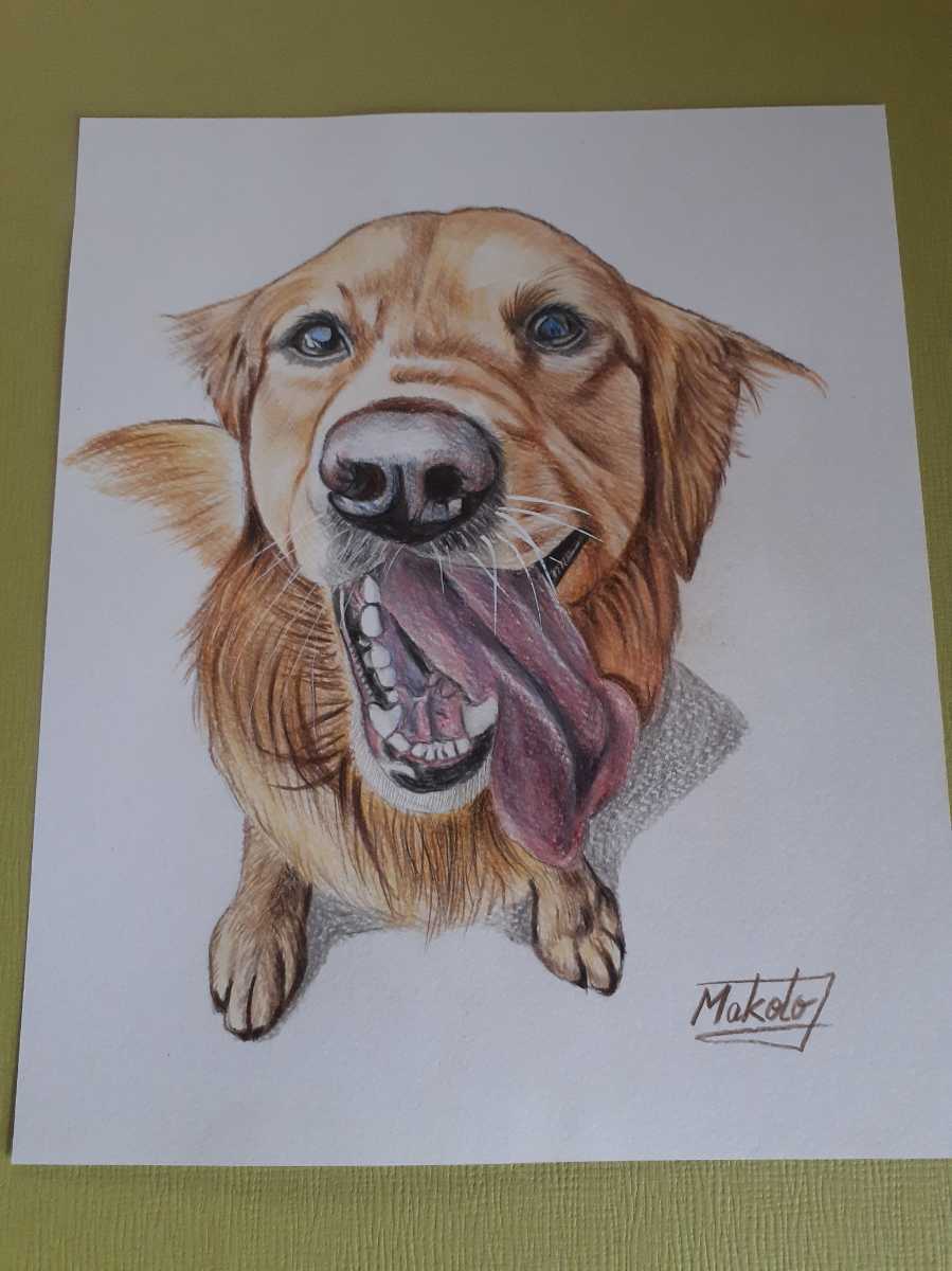  color pencil . Golden retoli bar 