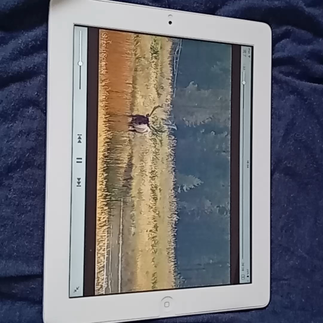 Retina 第3世代 iPad A MD328J 16GB Wi-Fiモデル - 6