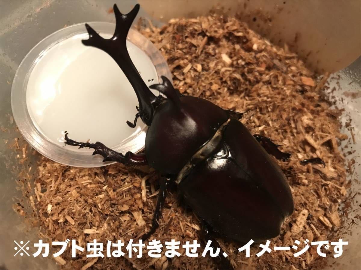 「カブトムシとクワガタムシ」の型抜き