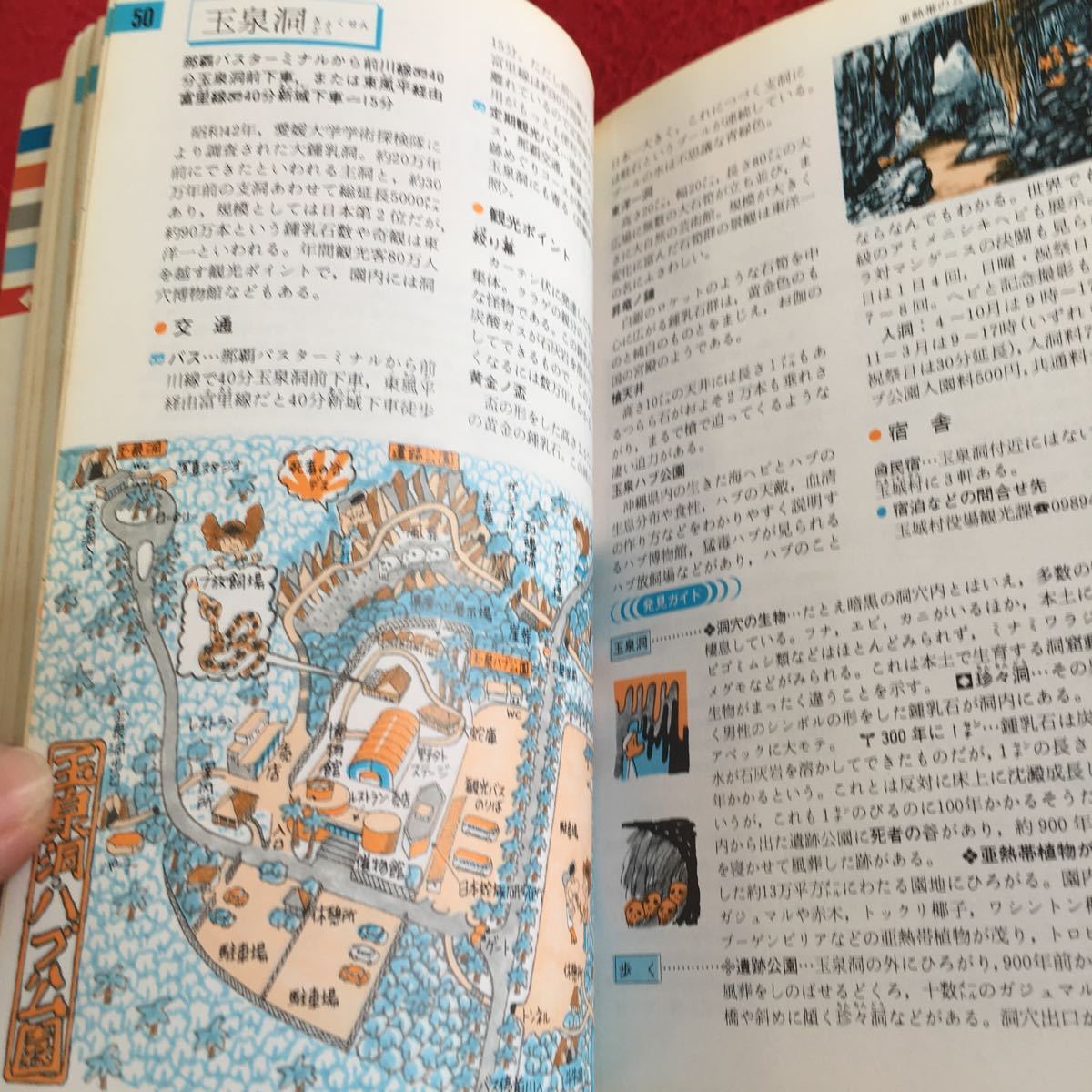 Y29-243 ブルーガイド パック 37 沖縄 那覇・宮古・石垣・竹富・西表 実業之日本社 昭和58年発行 マップ 観光所 イベント など _画像5