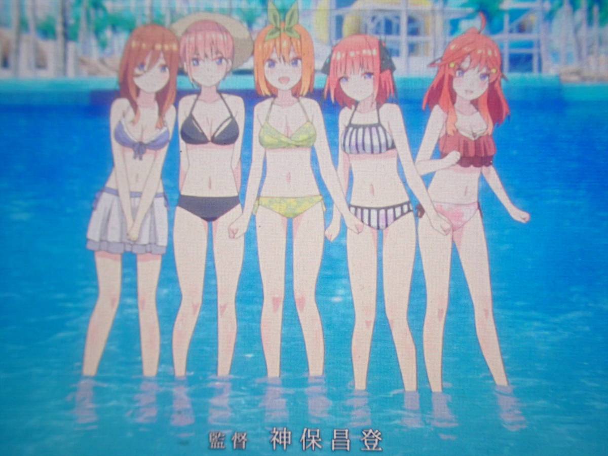 監督名前入り【五つ子:OP 水着 シーン】五等分の花嫁 入場特典 コマ