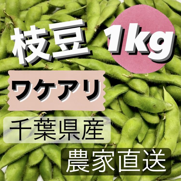 枝豆　ワケアリ　1kg 千葉県産　農家直送_画像1