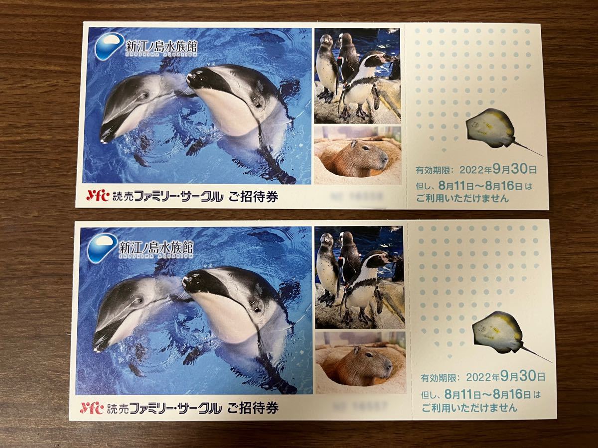 新江ノ島水族館 招待券チケット ２枚 20%割引券１枚