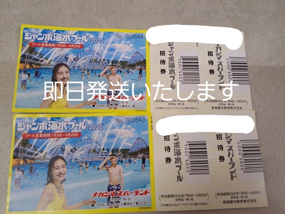 オンラインショップ ナガシマスパーランド入場券 ジャンボ海水プール