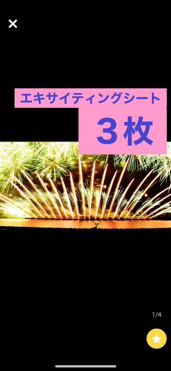 第34回なにわ淀川花火大会 エキサイティングシート③枚 8月27日