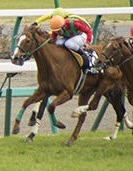 ２８日回収率は３４０％！　２７日は１２８％！　単勝と馬連の３点で誰でも競馬投資！　初心者OKの知識不要の競馬法！　競馬予想ソフト！　_画像1