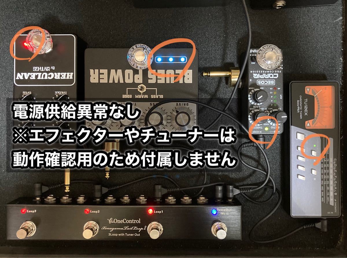 ne Control 5ループスイッチャー Iguana Tail Loop