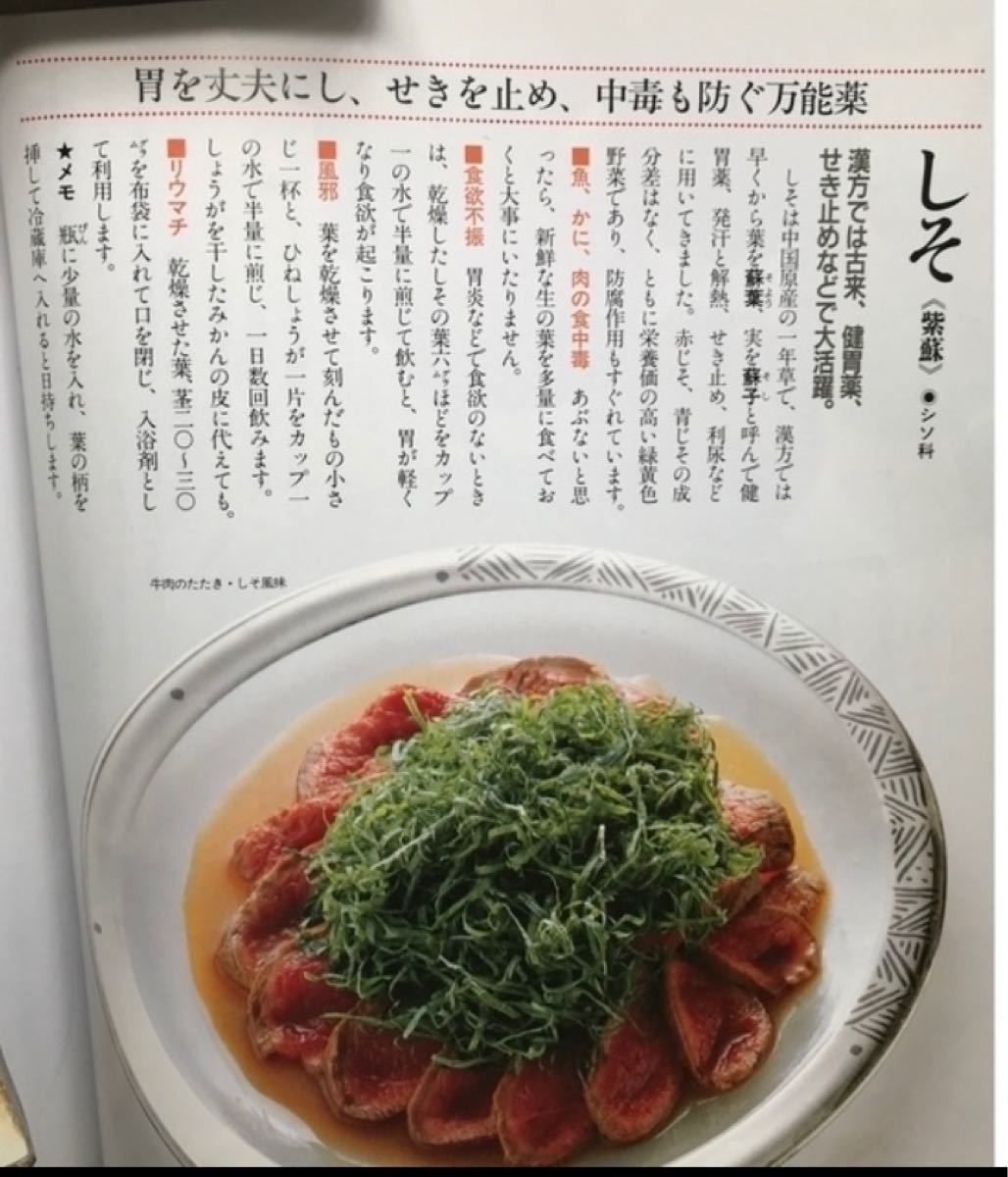 無農薬 除草剤 化学肥料不使用の大葉青紫蘇50|Yahoo!フリマ(旧 無農薬 除草剤 化学肥料不使用の大葉青紫蘇50|Yahoo!フリマ(旧