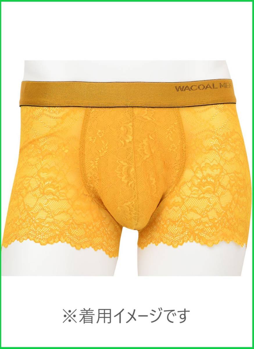 ☆即完売で大人気! WACOAL MEN/ワコールメン レースボクサー 新色2枚