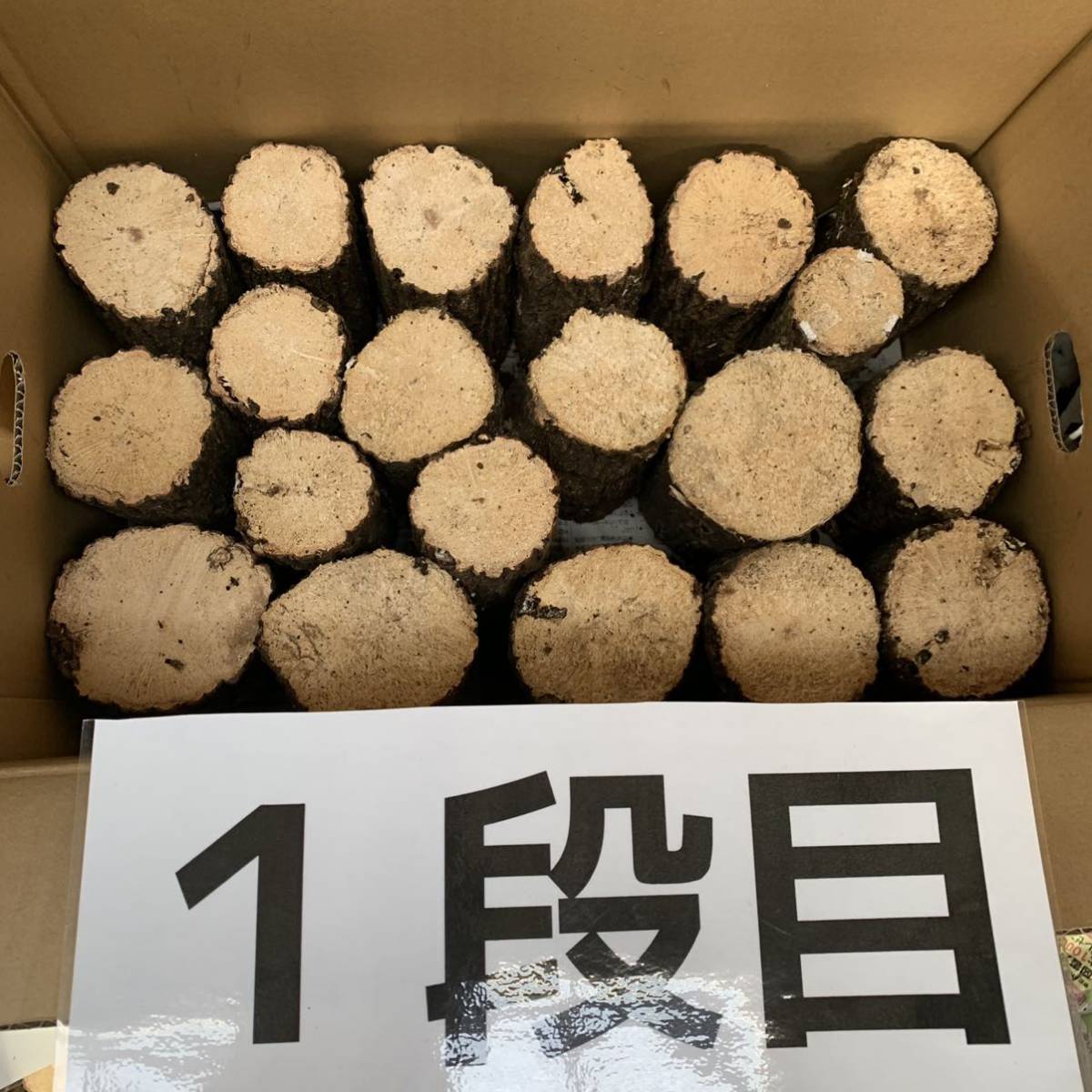 No.16 産卵木A品 110サイズの箱にびっしり入ってます。 オオクワガタ No.16 産卵木A品 110サイズの箱にびっしり入ってます。 オオクワガタ