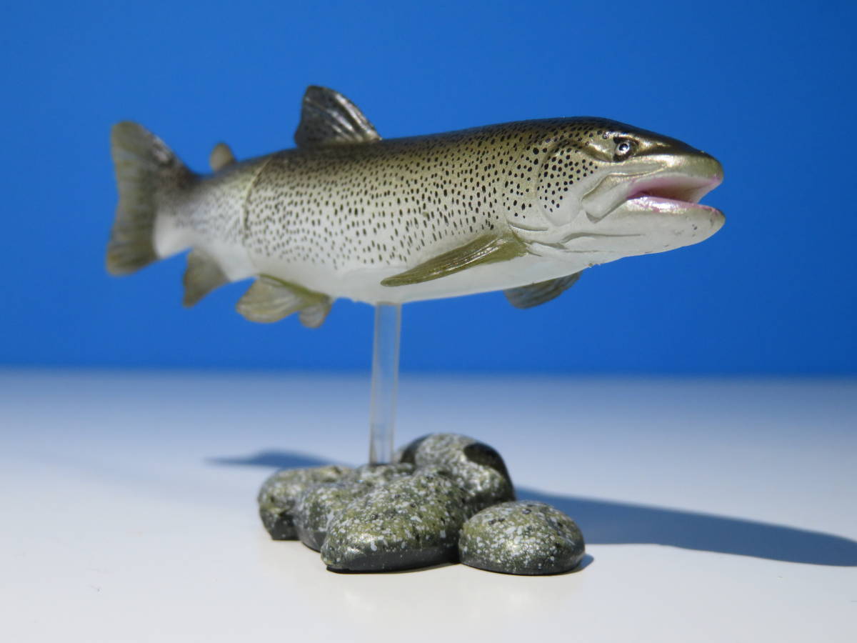 Yahoo!オークション - 原色淡水魚図鑑 フィギュアコレクション Yahoo!オークション - 原色淡水魚図鑑 フィギュアコレクション