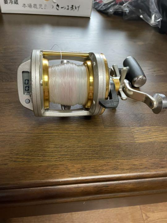 DAIWA ダイワ SEALINE シーライン石鯛Z40WH gofornokeynote.com