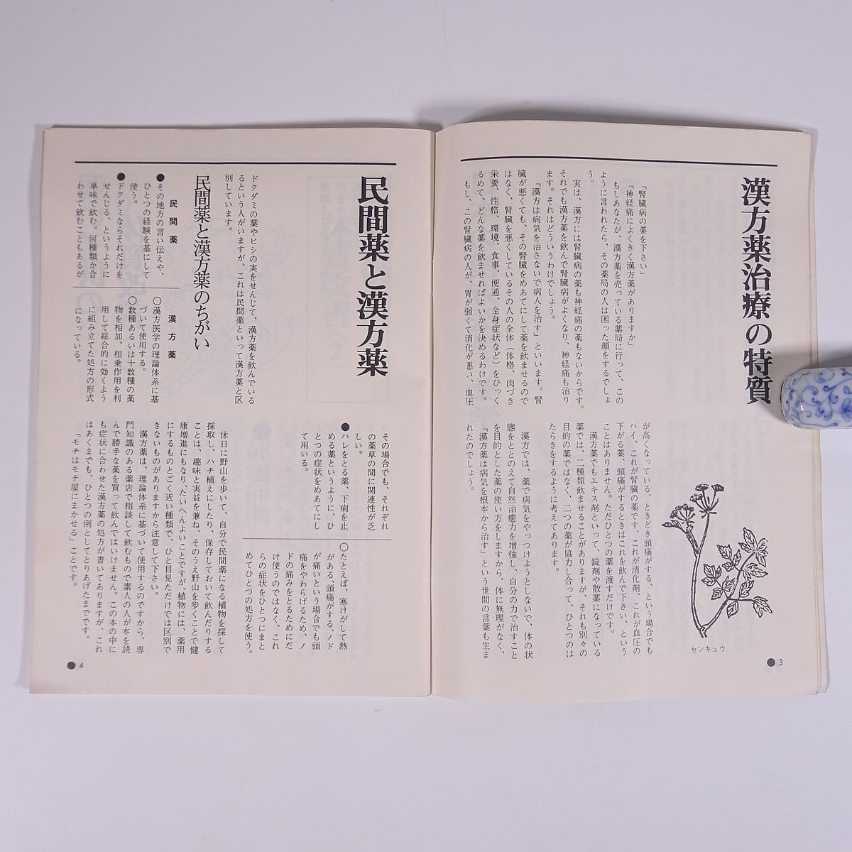 あなたの健康を守る 漢方の手引き 監修・日本漢方薬学協会 広島県 中国新聞社 1975 小冊子 植物 野草 草花 医学 薬学 漢方_画像7