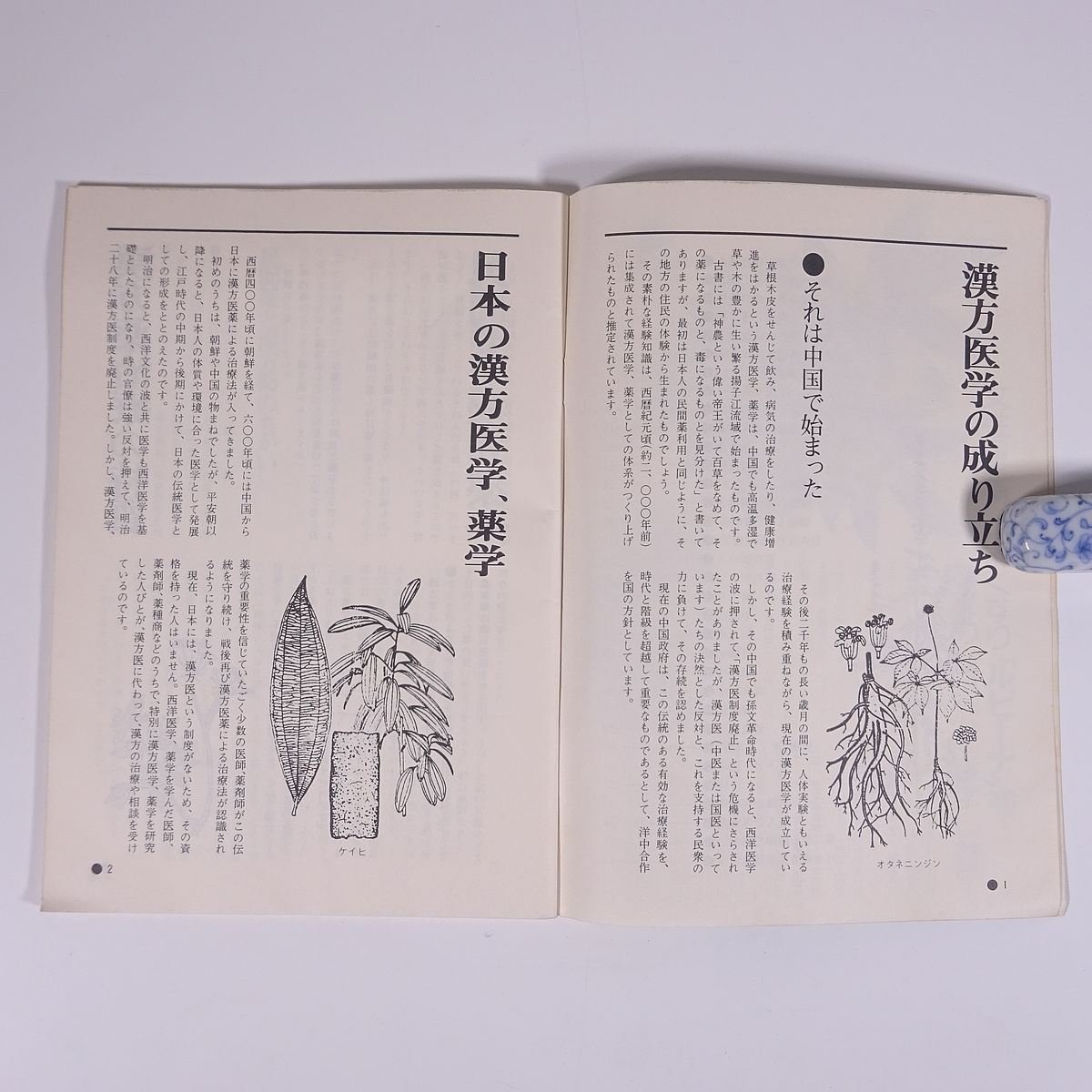 あなたの健康を守る 漢方の手引き 監修・日本漢方薬学協会 広島県 中国新聞社 1975 小冊子 植物 野草 草花 医学 薬学 漢方_画像6