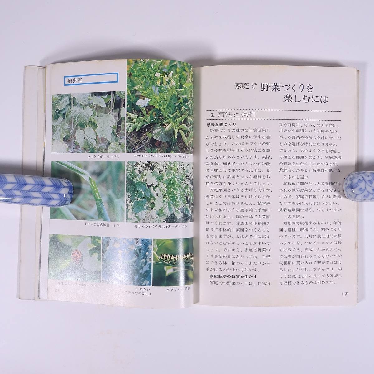  small container also possible to enjoy vegetable ... boat rice field .. gardening 6.... .. corporation 1978 separate volume gardening gardening plant cultivation gardening ..