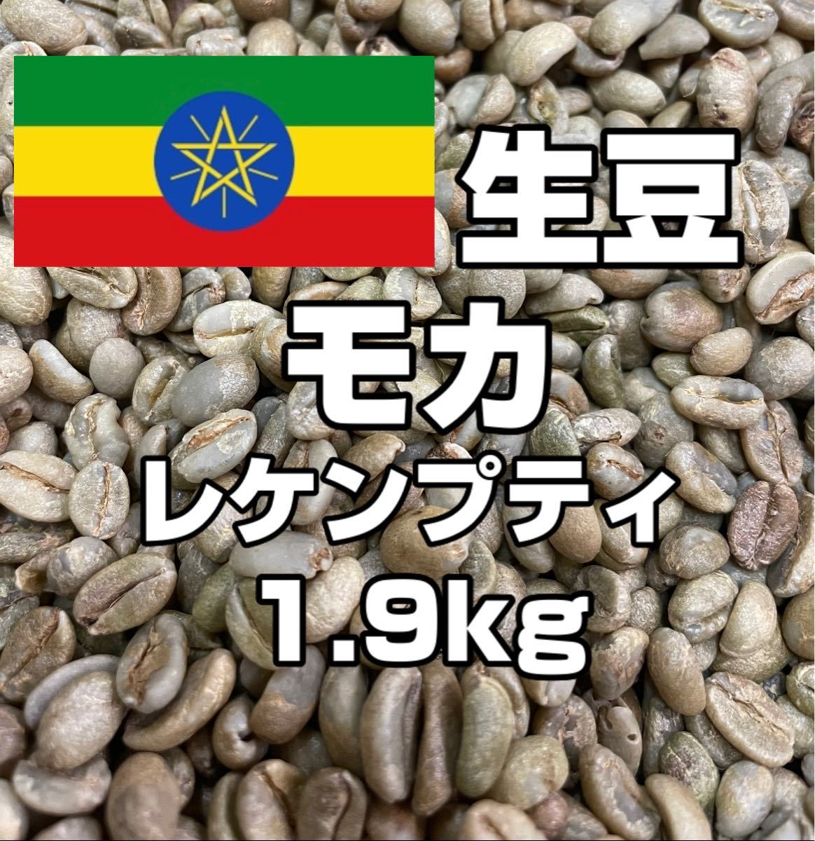 【コーヒー生豆】モカ レケンプティ 1.9kg　 ※送料無料！！