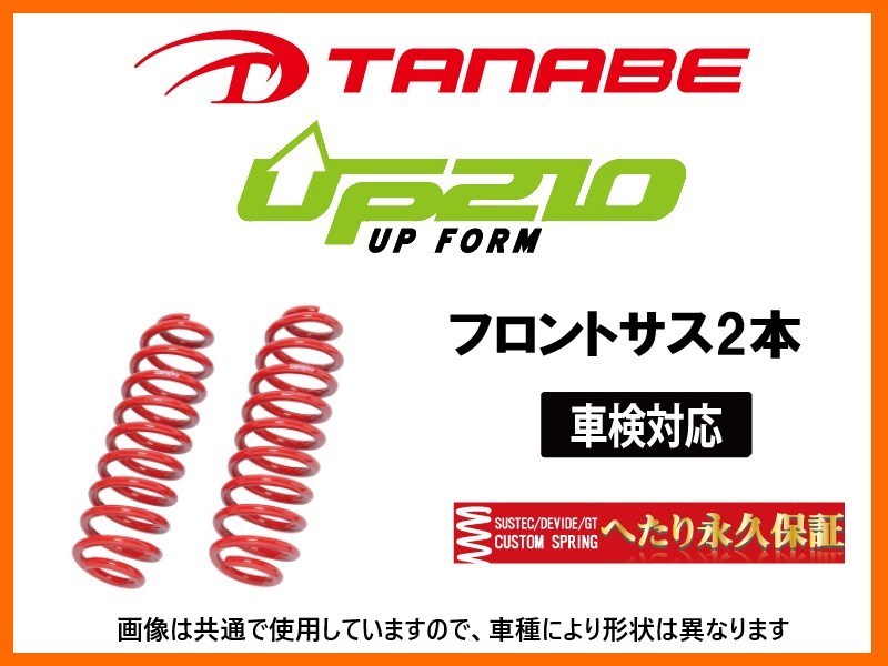 によりまし TANABE タナベ カスタムスプリング DEVIDE UP210