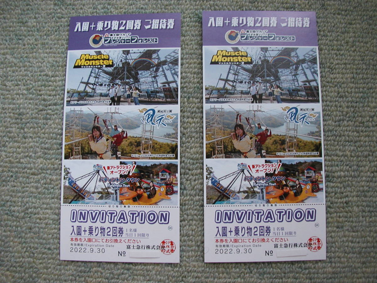 プレジャーフォレスト 入園+乗り物2回券 1枚 C20X67c2Zc