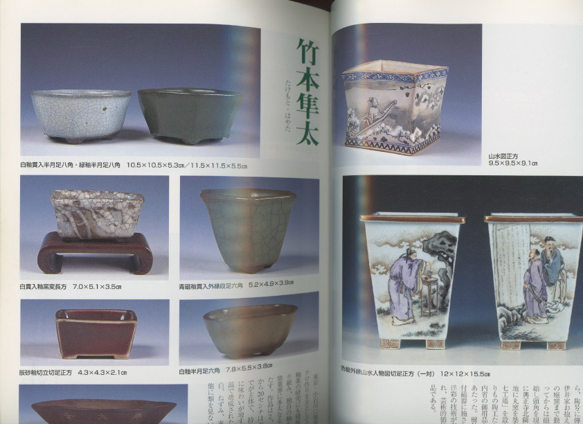 □盆栽小鉢図鑑 現代小品鉢作家名鑑 検:竹本隼太・宮崎一石・佐野 □盆栽小鉢図鑑 現代小品鉢作家名鑑 検:竹本隼太・宮崎一石・佐野