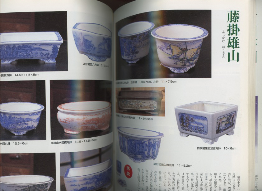 □盆栽小鉢図鑑 現代小品鉢作家名鑑 検:竹本隼太・宮崎一石・佐野 □盆栽小鉢図鑑 現代小品鉢作家名鑑 検:竹本隼太・宮崎一石・佐野