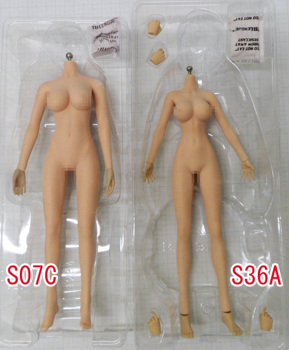 TBLeague 1/6 シームレス女性素体 S36 Pale ペールスキン PVCヘッド 低身長二次元ボディ アニメスタイルモデル ラージバスト 旧名phicen 3