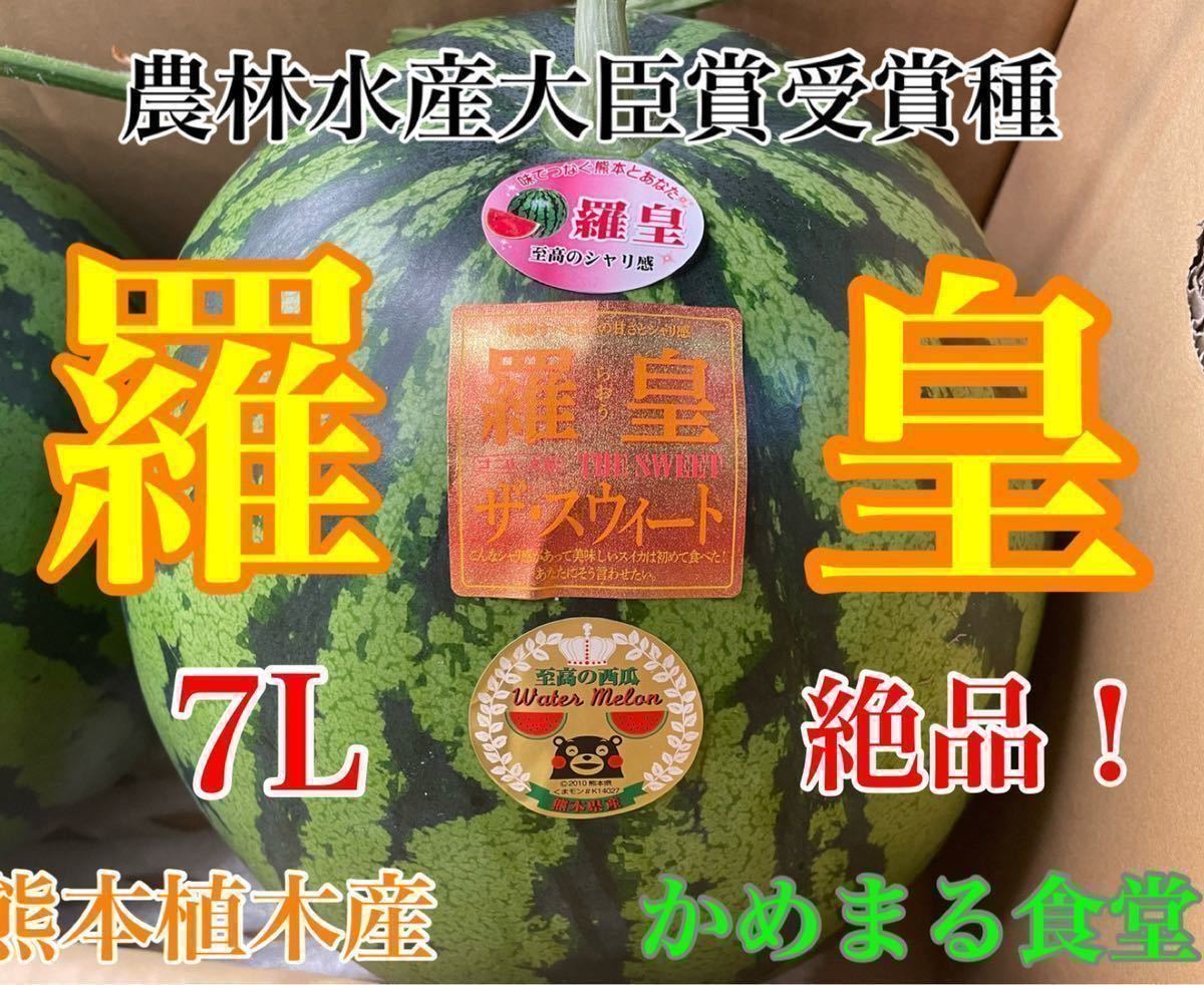 お中元にピッタリ【お一人様1箱まで送料無料】大玉スイカの最高傑作【羅皇】超特大7Lサイズ（12〜13kg）熊本植木産 かめまる食堂34_画像3