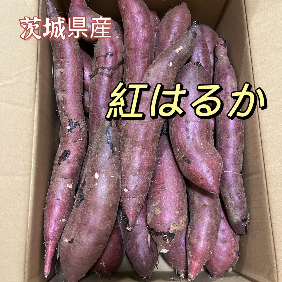 サツマイモ 茨城県産 紅はるか 箱含む5キロ - 野菜